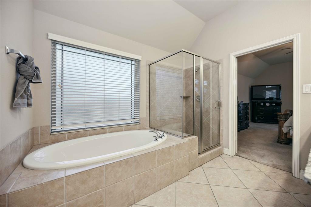 4219 Redstone Place Court, Fresno, Texas image 23