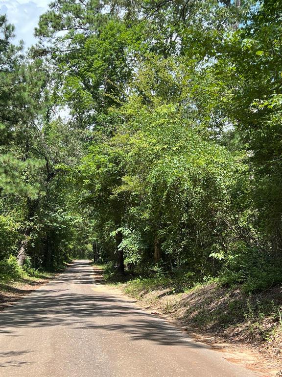 TBD County Road 87, Jasper, Texas image 1