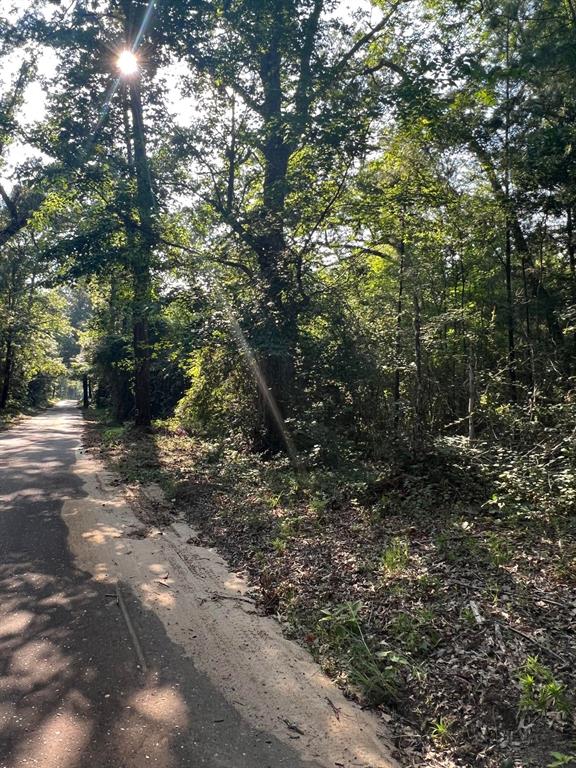 TBD County Road 87, Jasper, Texas image 8