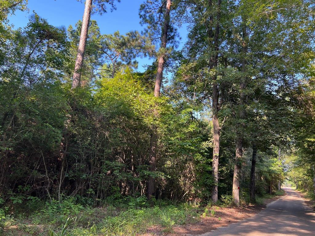 TBD County Road 87, Jasper, Texas image 9