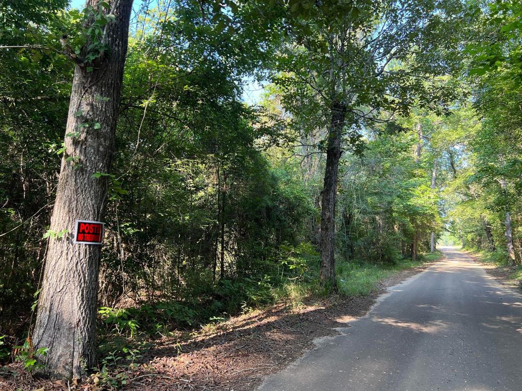 TBD County Road 87, Jasper, Texas image 7