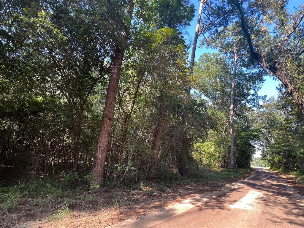 TBD County Road 87, Jasper, Texas image 6