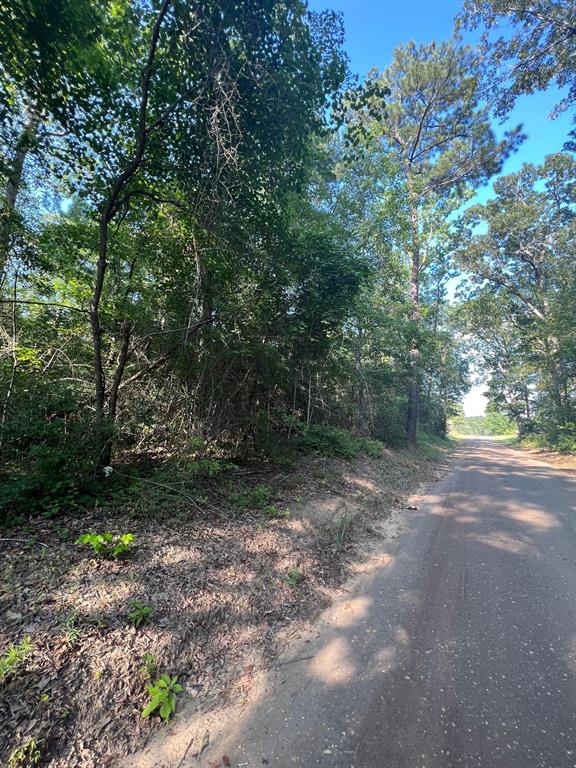 TBD County Road 87, Jasper, Texas image 16