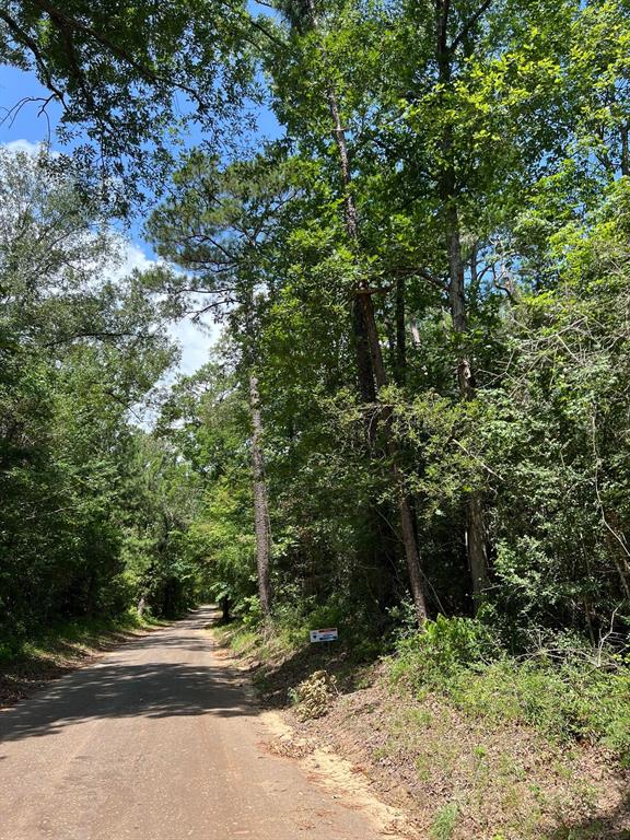 TBD County Road 87, Jasper, Texas image 2