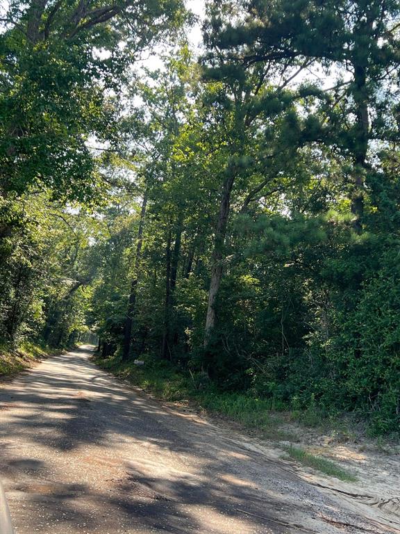 TBD County Road 87, Jasper, Texas image 10