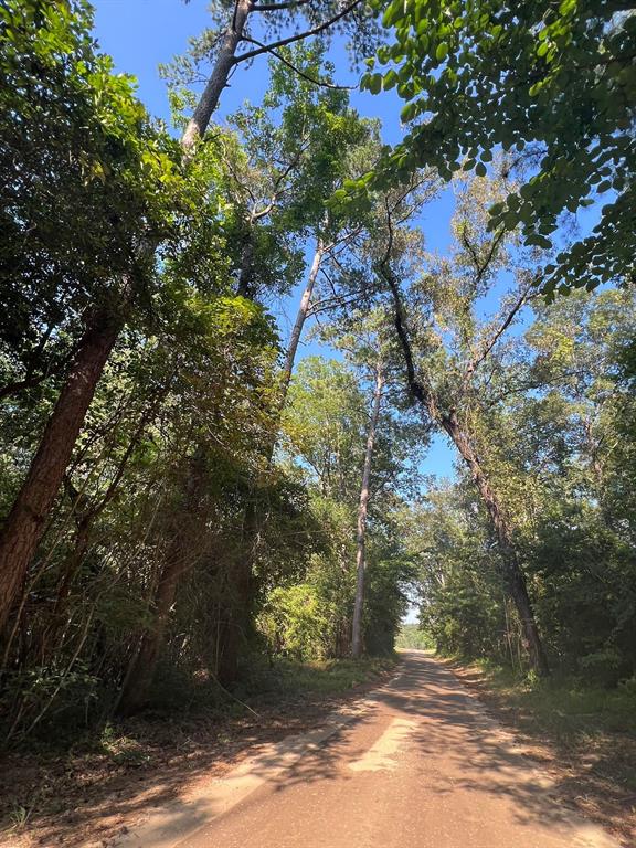 TBD County Road 87, Jasper, Texas image 12