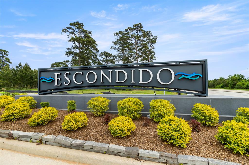 42627 Reminiscent Lane, Magnolia, Texas image 4
