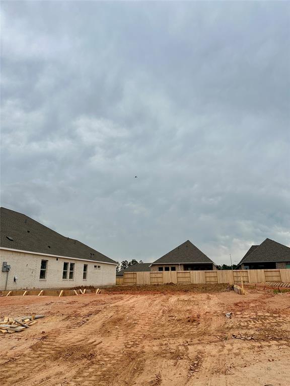 42627 Reminiscent Lane, Magnolia, Texas image 3