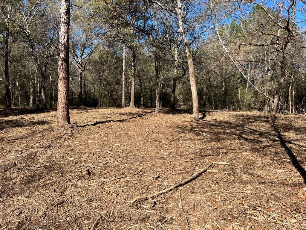 0030 County Road 302, Plantersville, Texas image 46