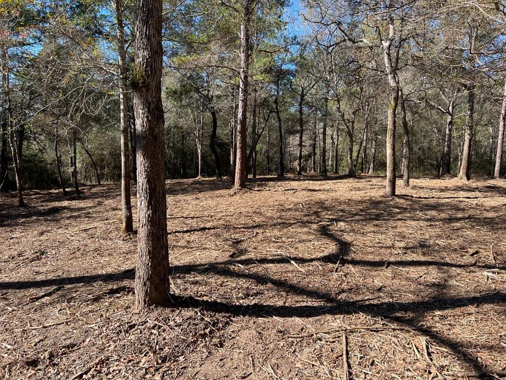 0030 County Road 302, Plantersville, Texas image 45