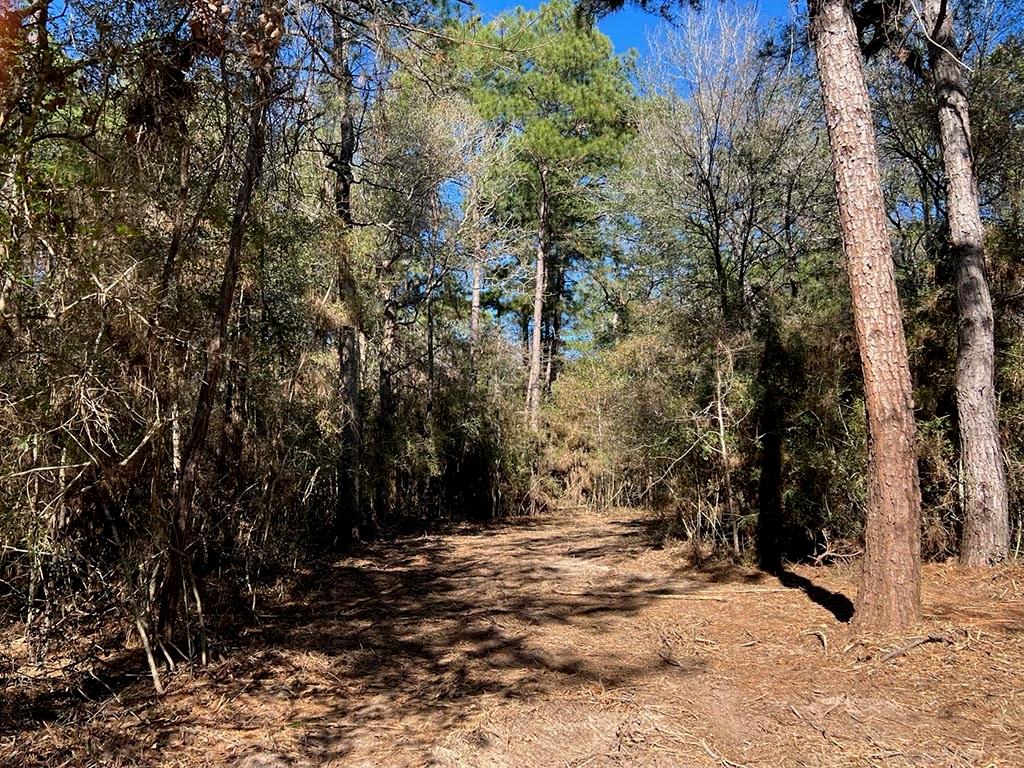 0030 County Road 302, Plantersville, Texas image 43