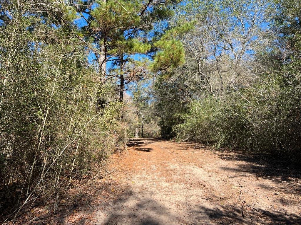 0030 County Road 302, Plantersville, Texas image 44