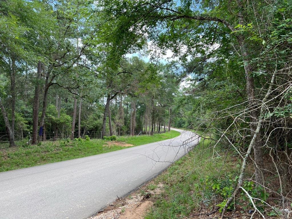 0030 County Road 302, Plantersville, Texas image 1