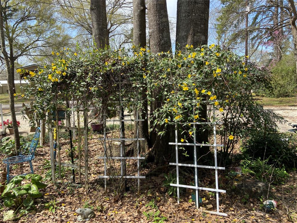 253 Escapees Drive, Livingston, Texas image 25