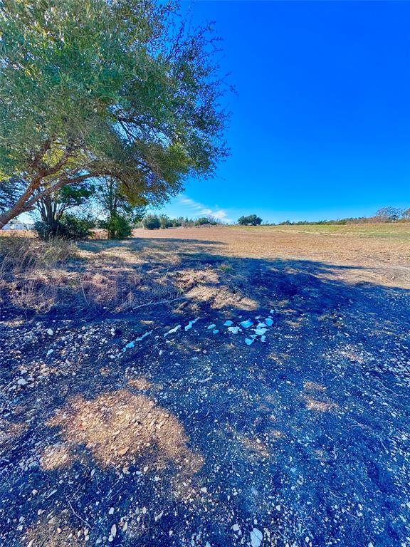 109 Compound Lane, Round Top, Texas image 7