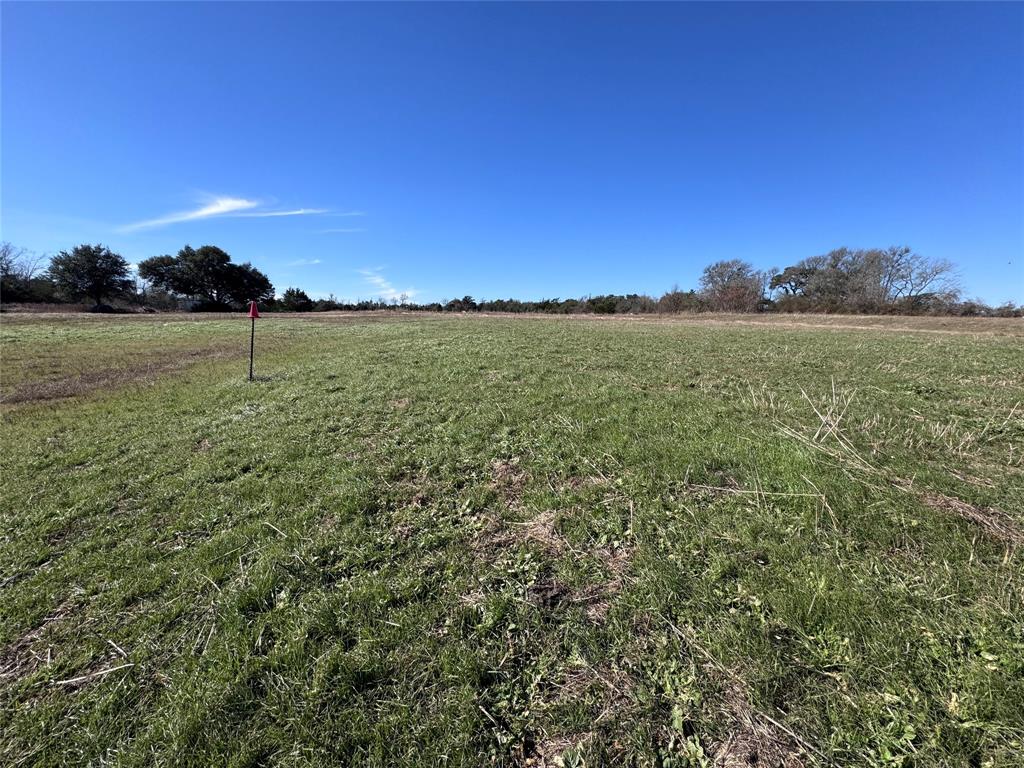 109 Compound Lane, Round Top, Texas image 11