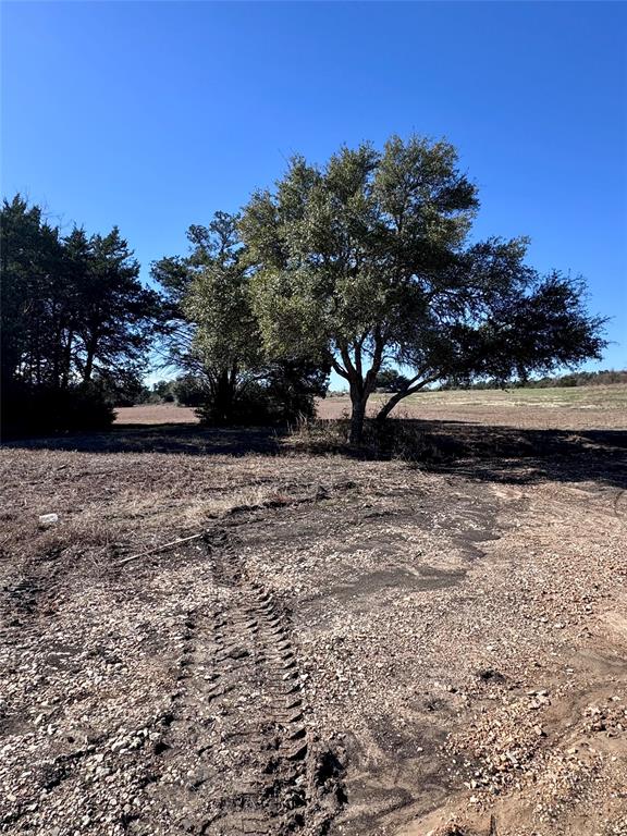 109 Compound Lane, Round Top, Texas image 2