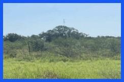 TR 7 Private Road, Refugio, Texas image 4