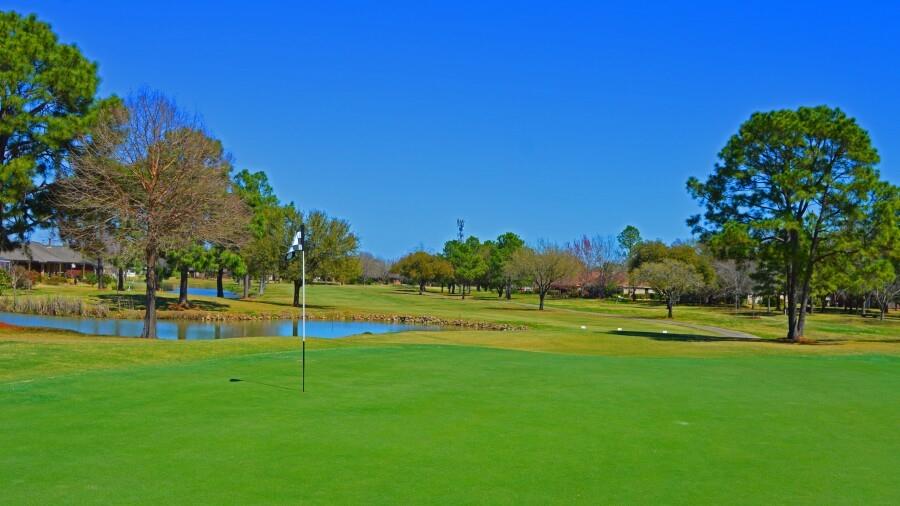 907 S Peach Hollow Court, Pearland, Texas image 22