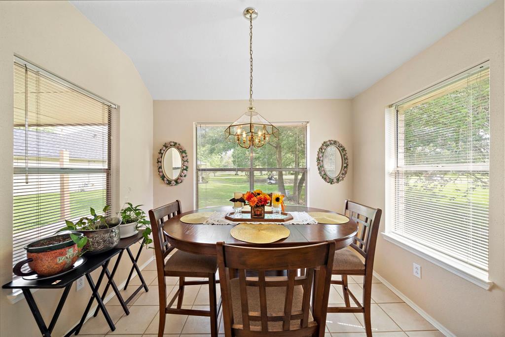 907 S Peach Hollow Court, Pearland, Texas image 12
