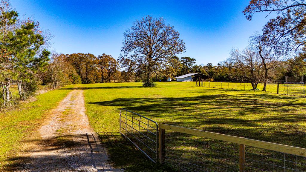 TBD Ellis Lovett Rd, Shepherd, Texas image 3