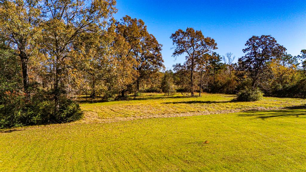 TBD Ellis Lovett Rd, Shepherd, Texas image 9