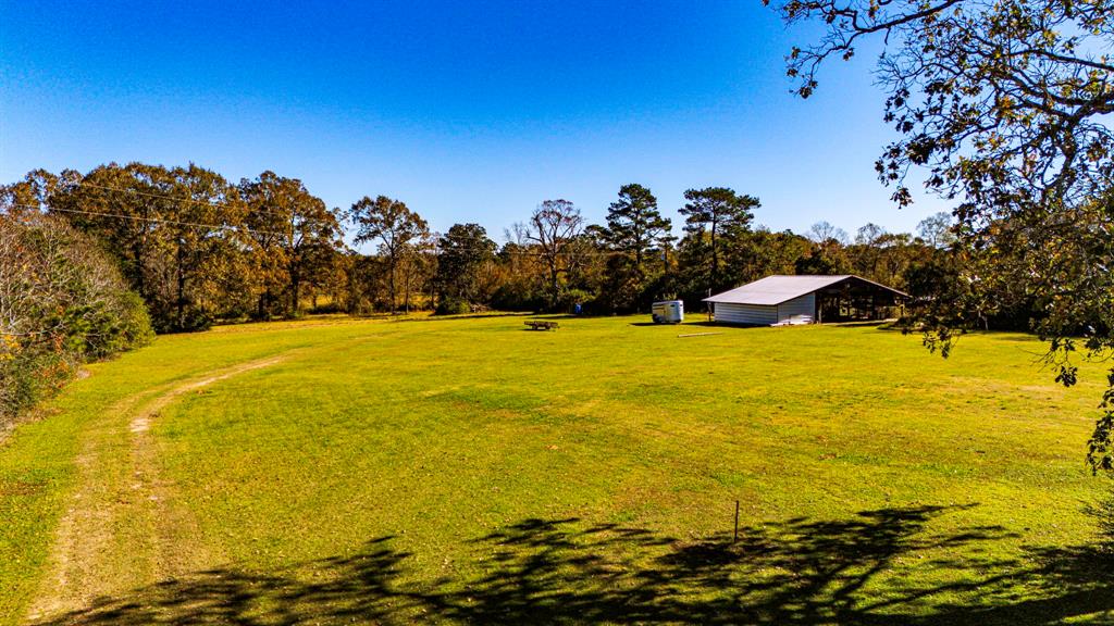 TBD Ellis Lovett Rd, Shepherd, Texas image 4