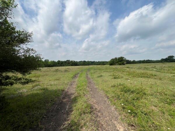 00 TBD A0019 FJ Greenwood, Track 3 FM 2445 Road
