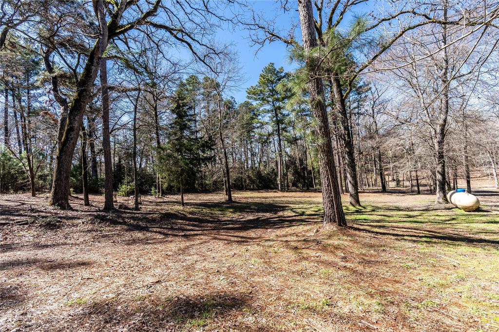 14285 S State Highway 19, Elkhart, Texas image 42