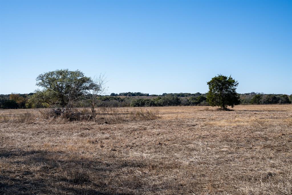 1571 Schulze Road, Schulenburg, Texas image 15