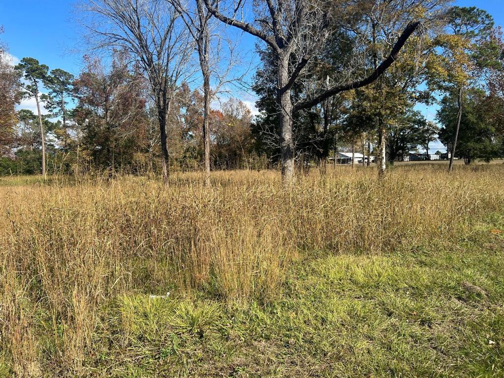 TBD S Houston Avenue