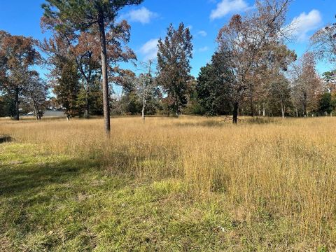 TBD S Houston Avenue Livingston TX 77351