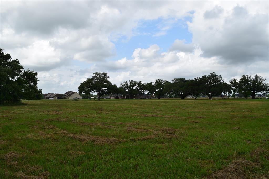 403 Kaci Court, Rosharon, Texas image 15