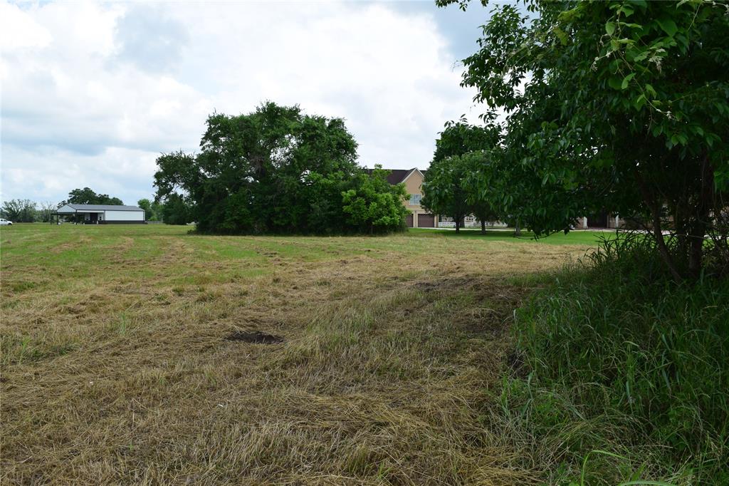 403 Kaci Court, Rosharon, Texas image 7