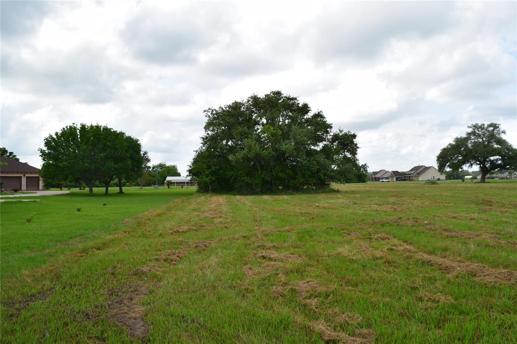 403 Kaci Court, Rosharon, Texas image 14
