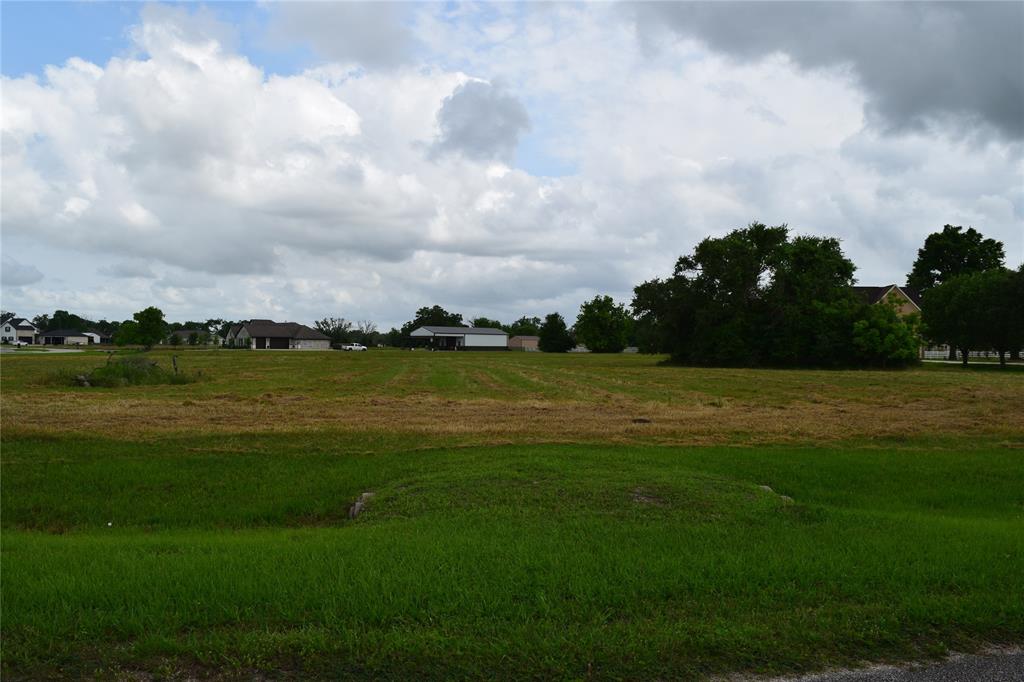 403 Kaci Court, Rosharon, Texas image 6