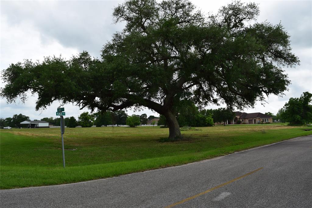 403 Kaci Court, Rosharon, Texas image 5