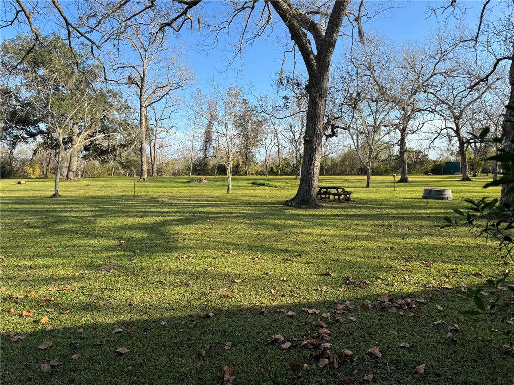 893 County Road 703, West Columbia, Texas image 37