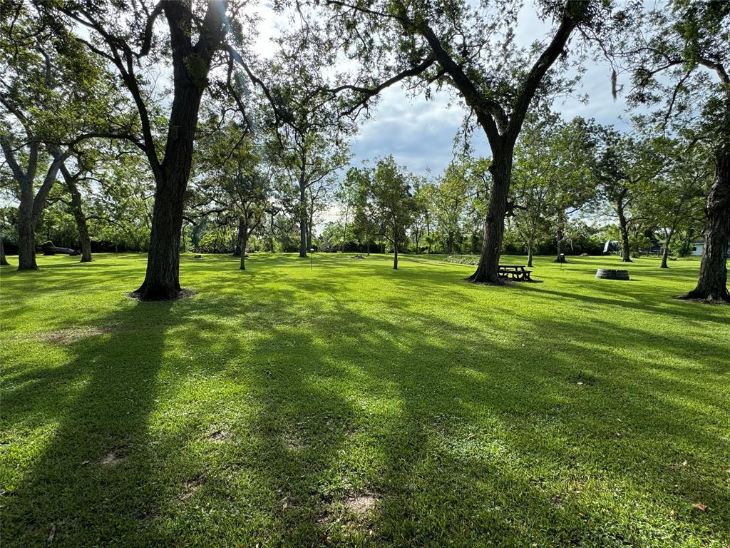 893 County Road 703, West Columbia, Texas image 38