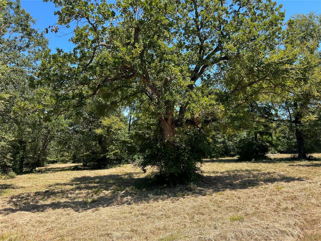 NA Cr 373, Marquez, Texas image 5