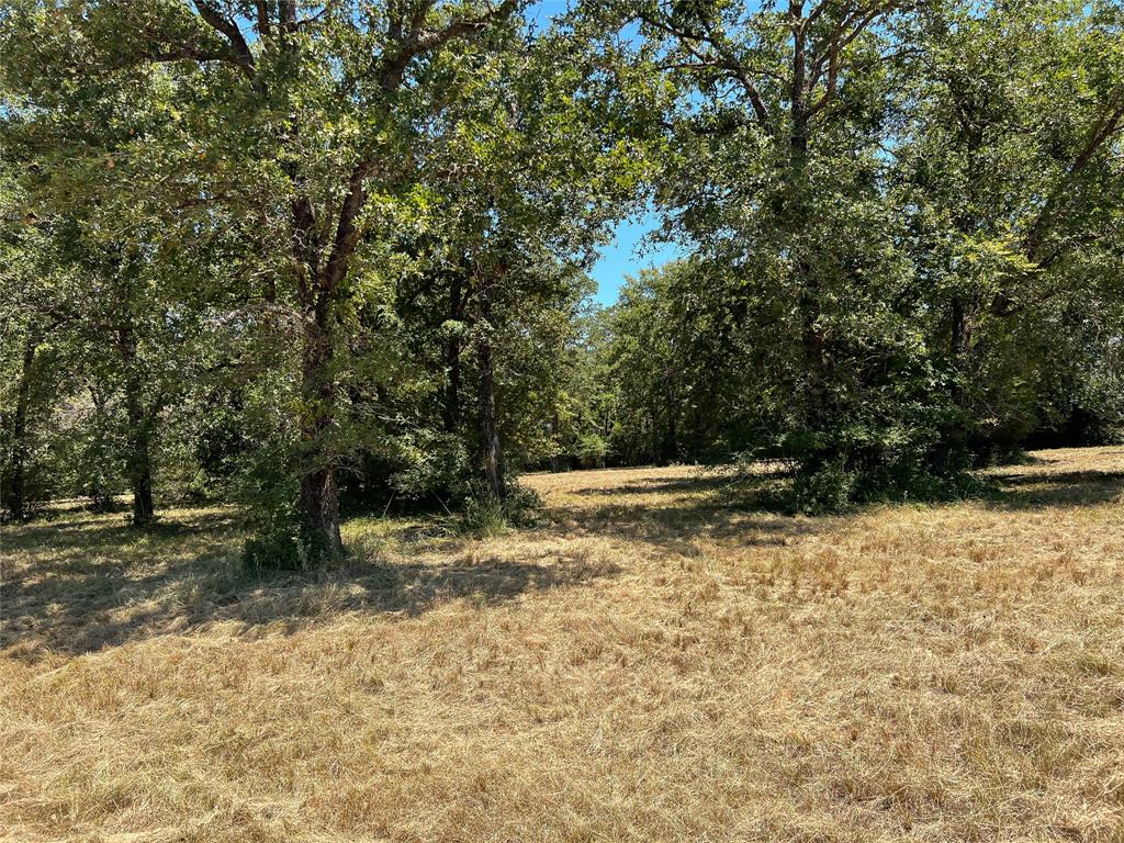 NA Cr 373, Marquez, Texas image 9