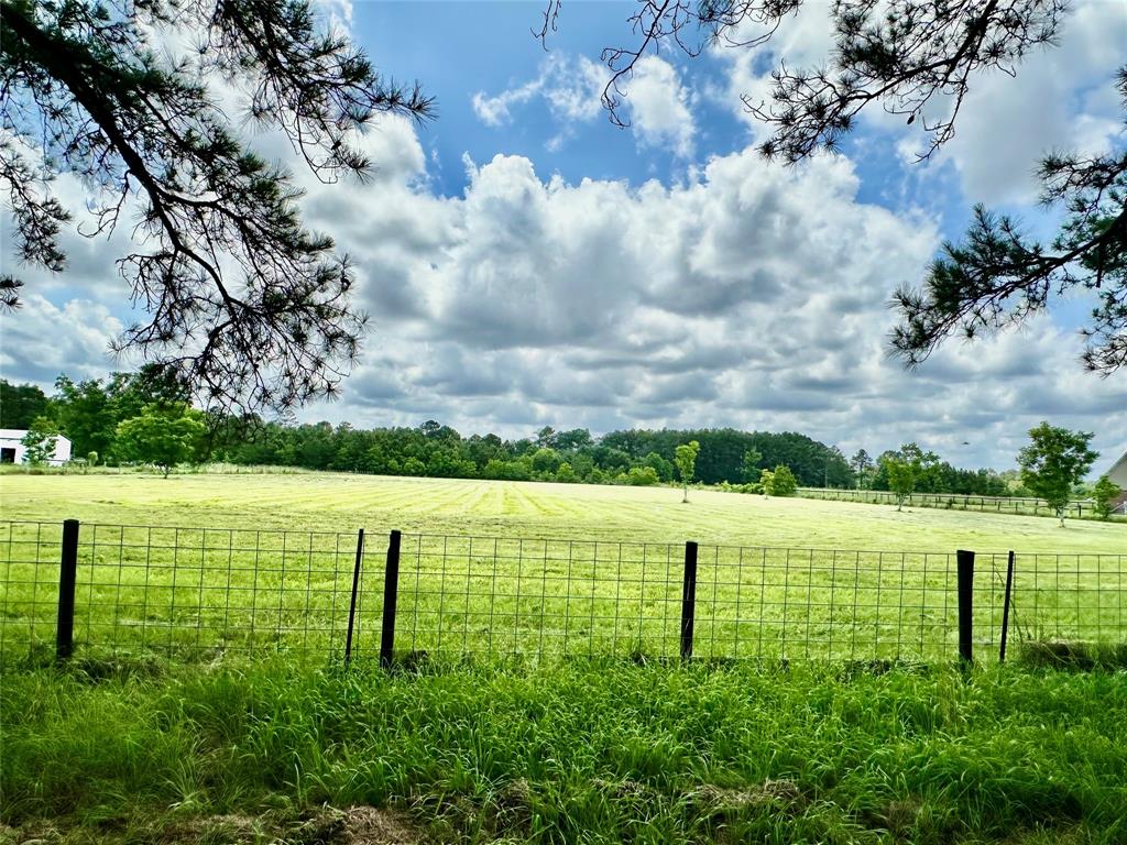 16110 G W Jones Sr Rd Road, Sour Lake, Texas image 3
