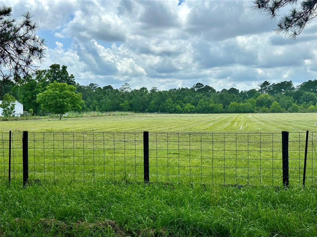16110 G W Jones Sr Rd Road, Sour Lake, Texas image 6