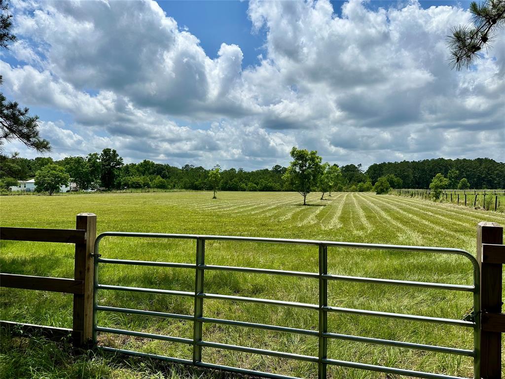 16110 G W Jones Sr Rd Road, Sour Lake, Texas image 2