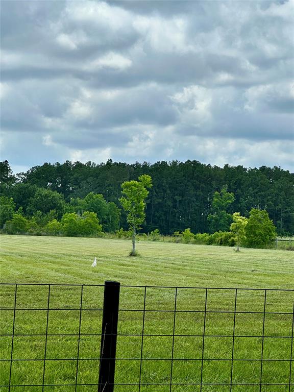 16110 G W Jones Sr Rd Road, Sour Lake, Texas image 5