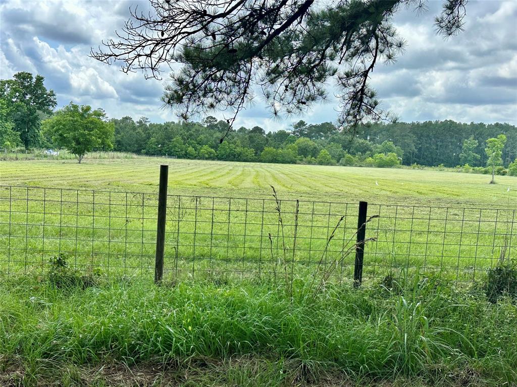 16110 G W Jones Sr Rd Road, Sour Lake, Texas image 4