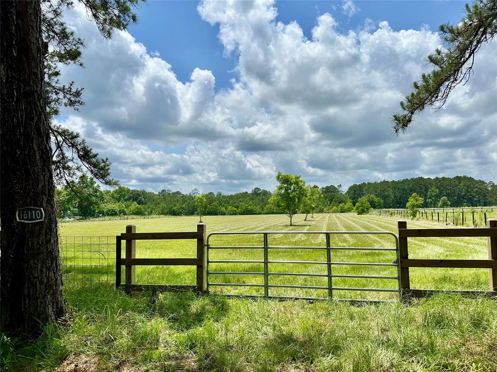16110 G W Jones Sr Rd Road, Sour Lake, Texas image 1