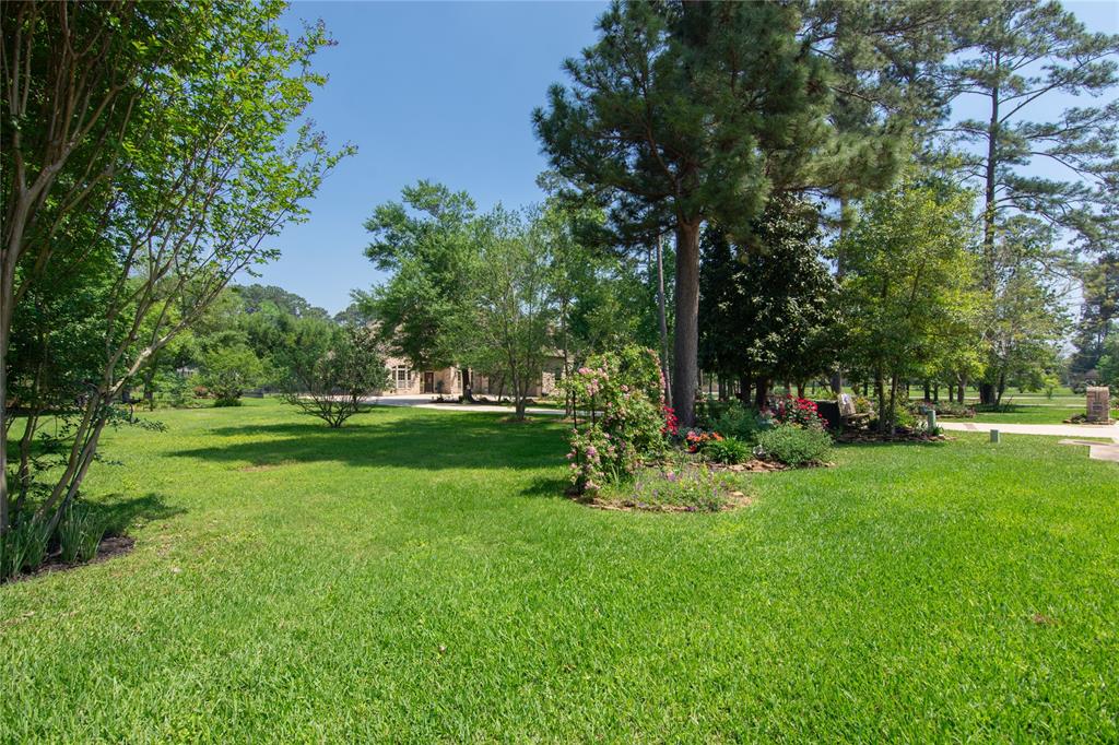 12786 Aries Loop, Willis, Texas image 48