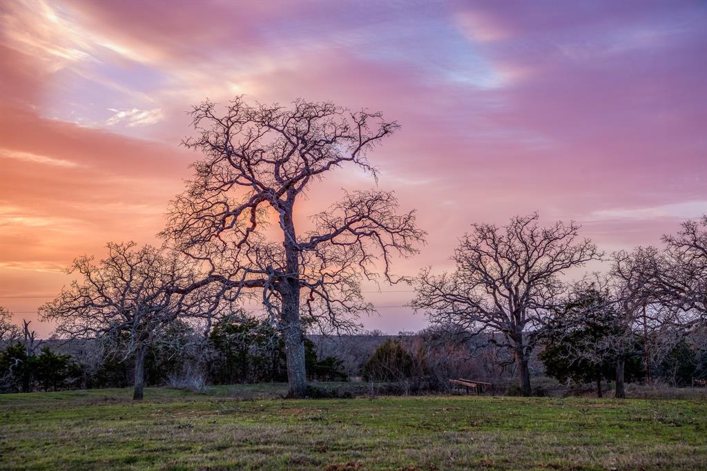 12893 E State Highway 97, Waelder, Texas image 38