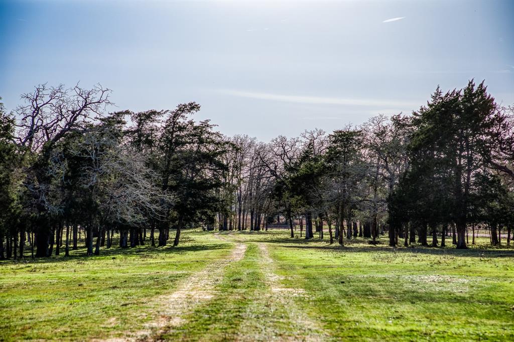 12893 E State Highway 97, Waelder, Texas image 6